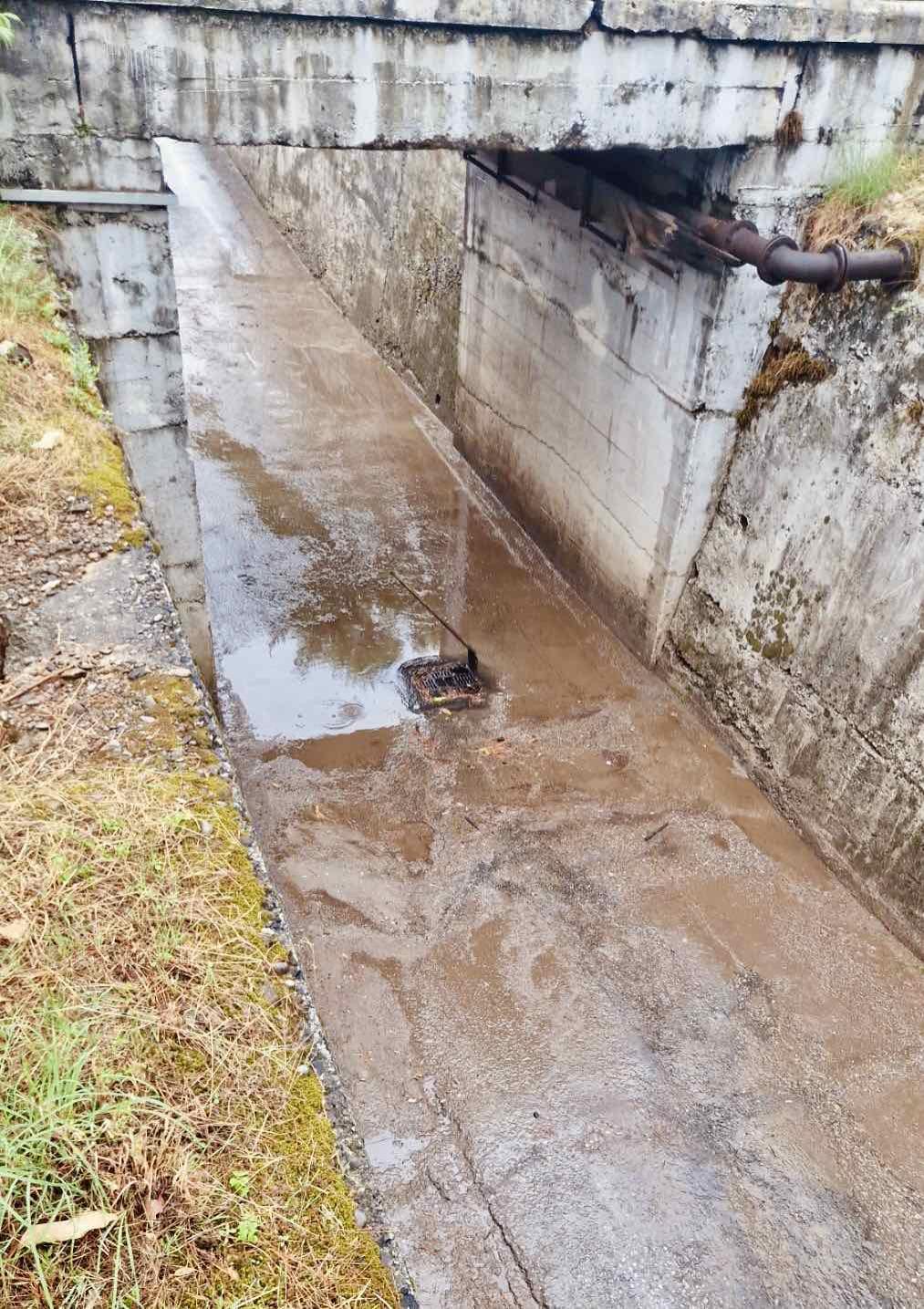 Efikasne intervencije službi Društva